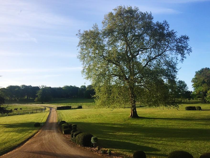 Hotel Haras De La Potardiere Crosmières Esterno foto