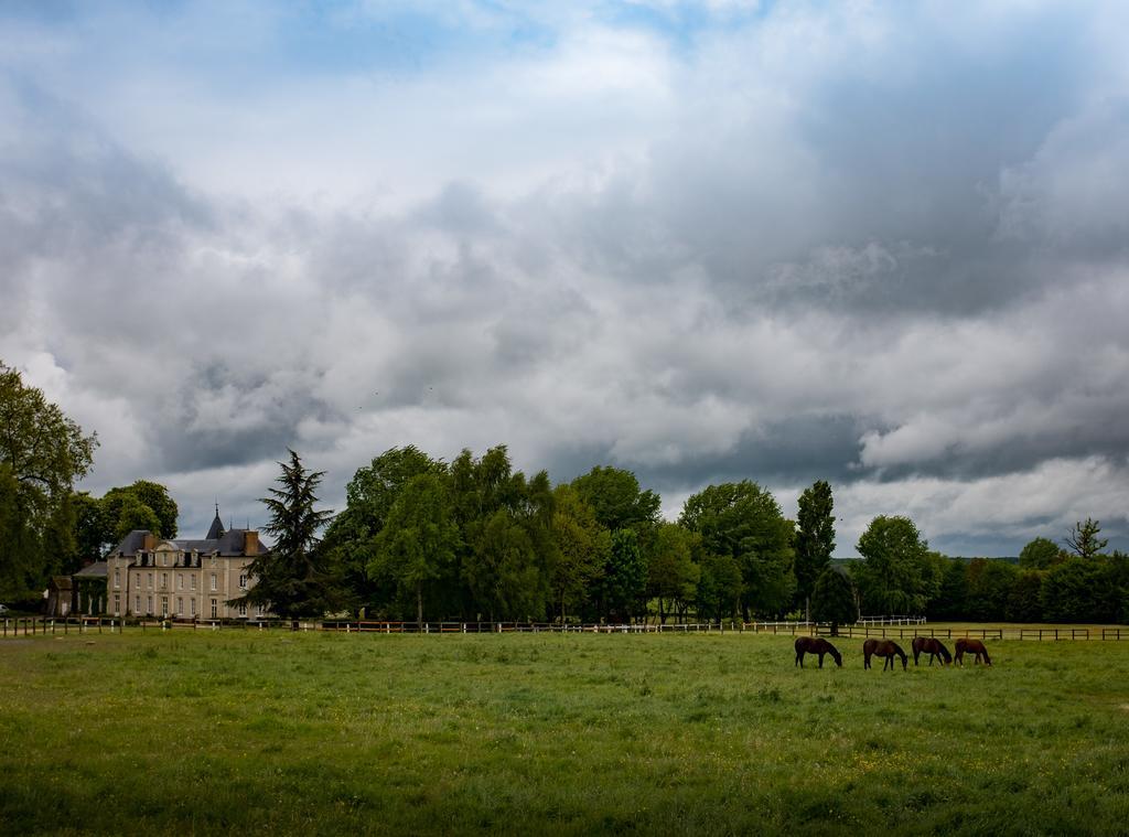 Hotel Haras De La Potardiere Crosmières Esterno foto