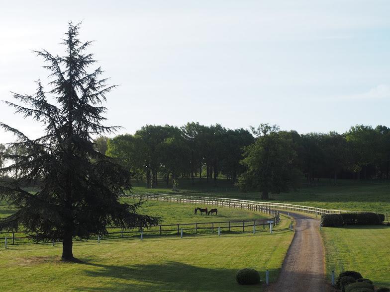 Hotel Haras De La Potardiere Crosmières Esterno foto